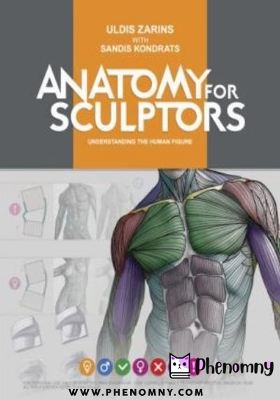 Download Anatomy for Sculptors, Understanding the Human Figure PDF or Ebook ePub For Free with | Phenomny Books